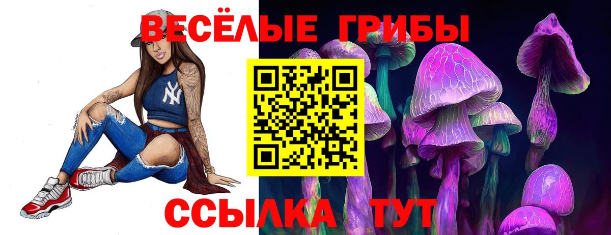 Галлюциногенные грибы Psilocybine cubensis  Галлюциногенные грибы мухоморы  Щёлково  Вход с VPN 