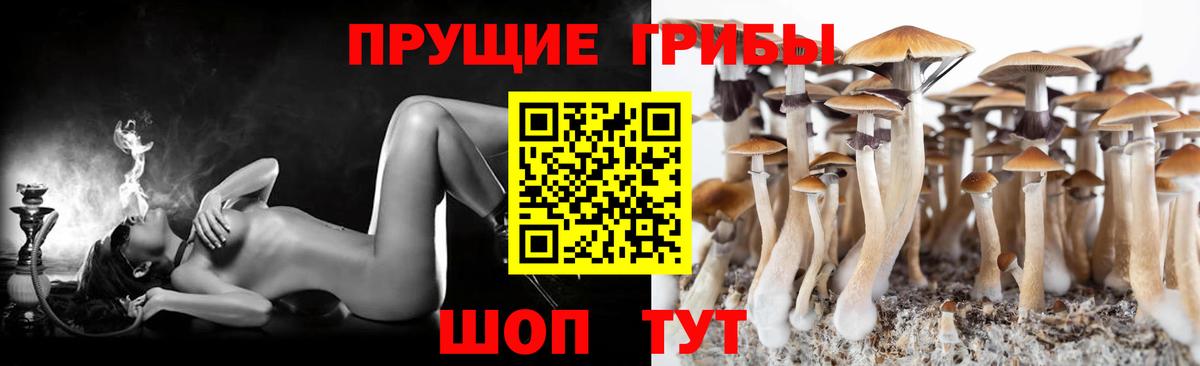 Галлюциногенные грибы мухоморы Щёлково